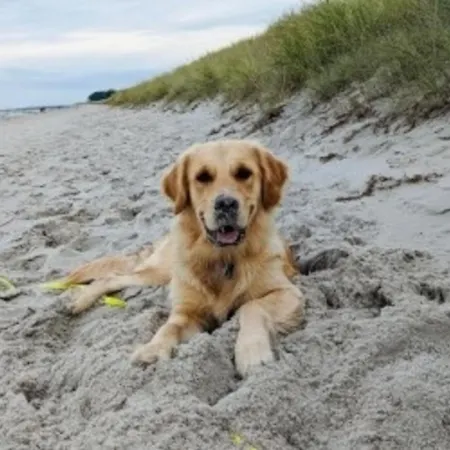 Ostsee-residenz, Whg 21 Apartmán *